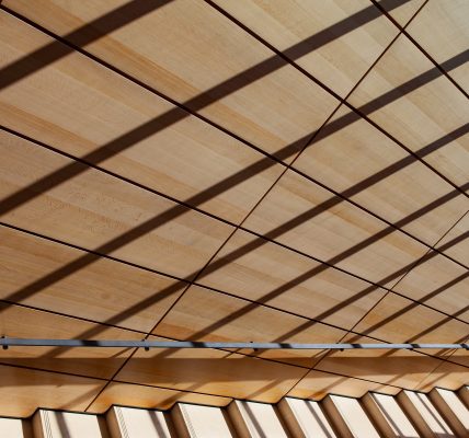 akoestisch plafond
