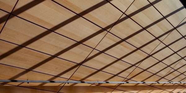 akoestisch plafond